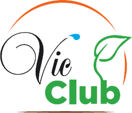 playvicclub.info Logo